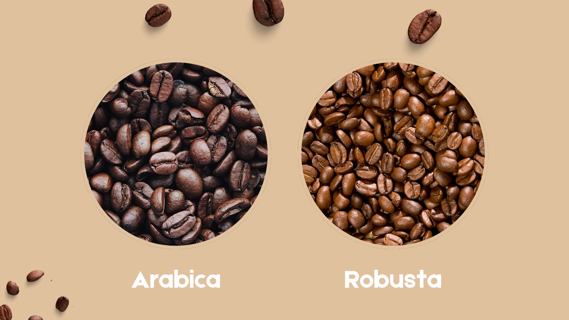 Arabica vs. Robusta