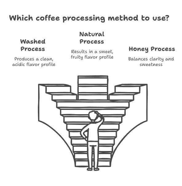 Coffee Processing methods