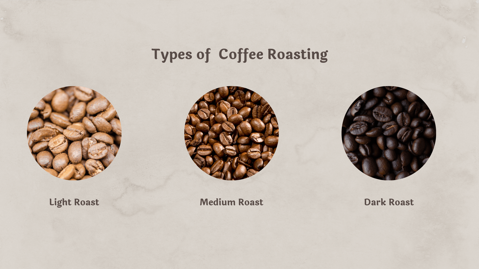 Coffee Roast Levels