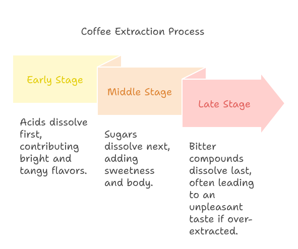 Coffee Extraction Process