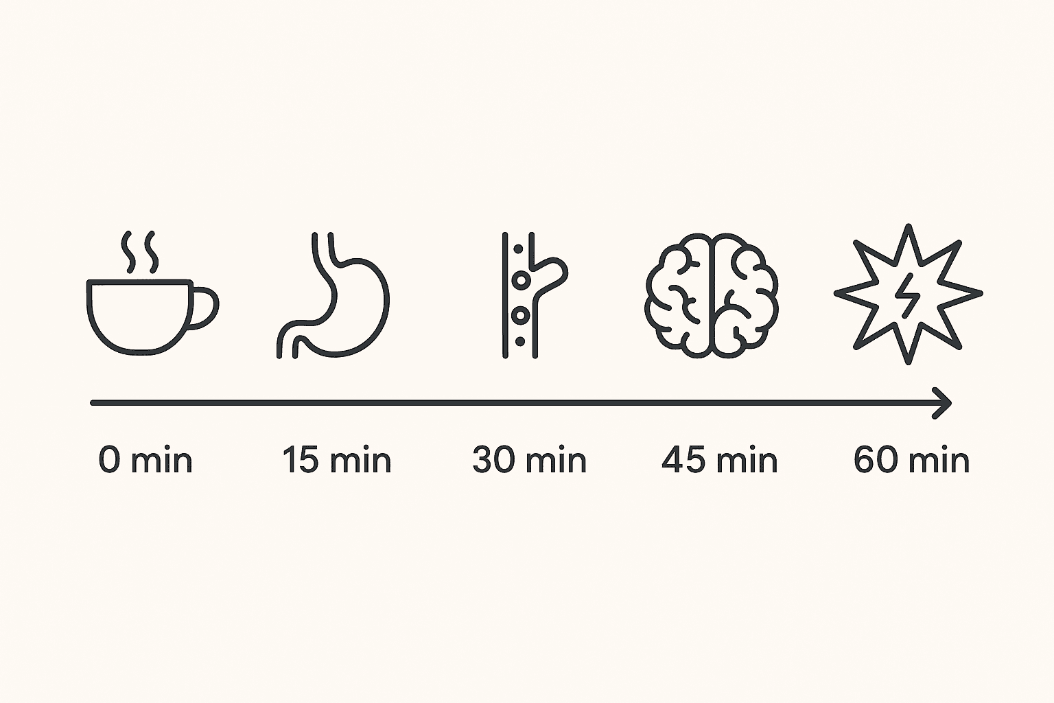 How Long Does Caffeine Last: The Complete Guide to Caffeine Duration