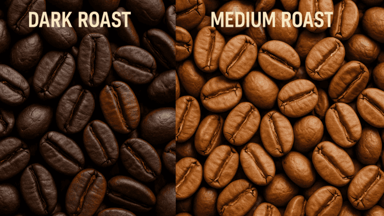 dark roast vs medium roast