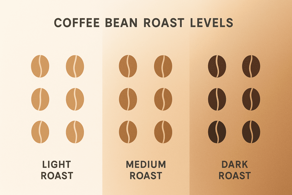 Infographic of roast level differences
